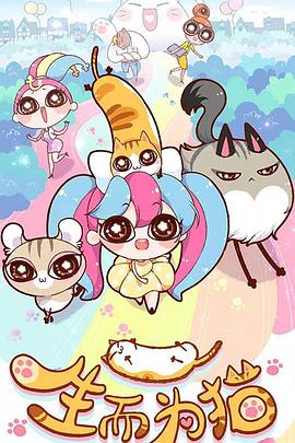 兴义网站seo优化